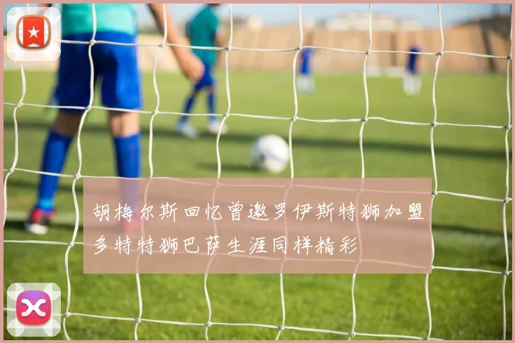 胡梅尔斯回忆曾邀罗伊斯特狮加盟多特特狮巴萨生涯同样精彩